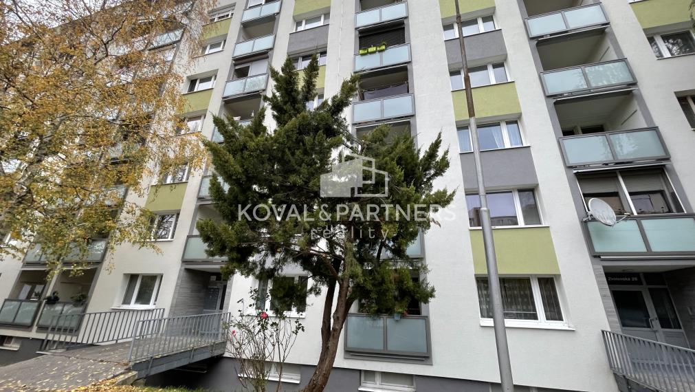 Veľký 1 izbový byt v Nitre