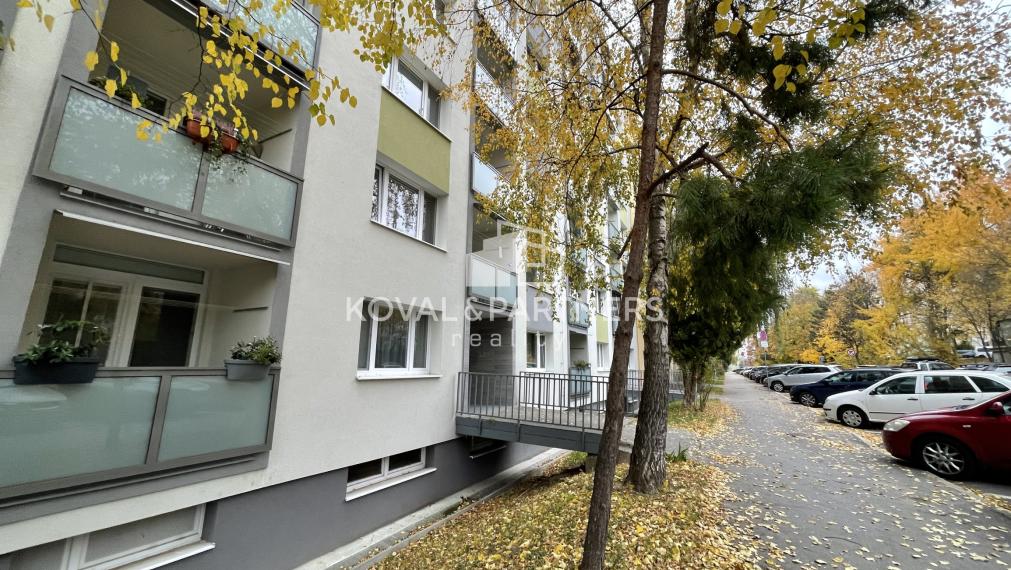 Veľký 1 izbový byt v Nitre