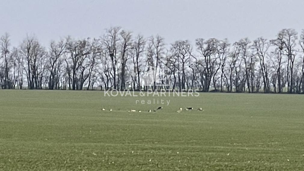 Na predaj orná pôda 3706 m2