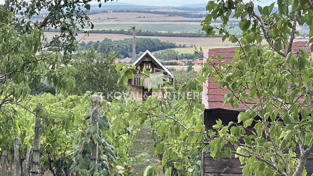 Vinica 608 m² s viničnou chatkou v obci Jelenec, okres Nitra