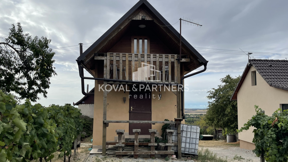 Vinica 608 m² s viničnou chatkou v obci Jelenec, okres Nitra