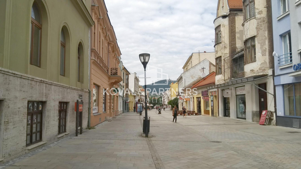 Prenájom priestorov, 61 m2, Nitra