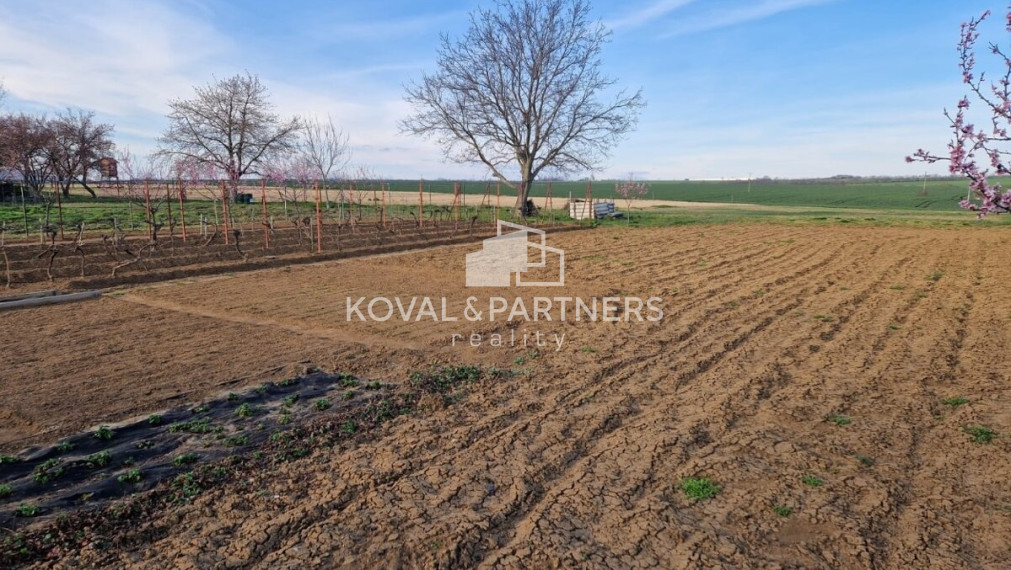 Na predaj INVESTIČNÉ stavebné pozemky v Golianove