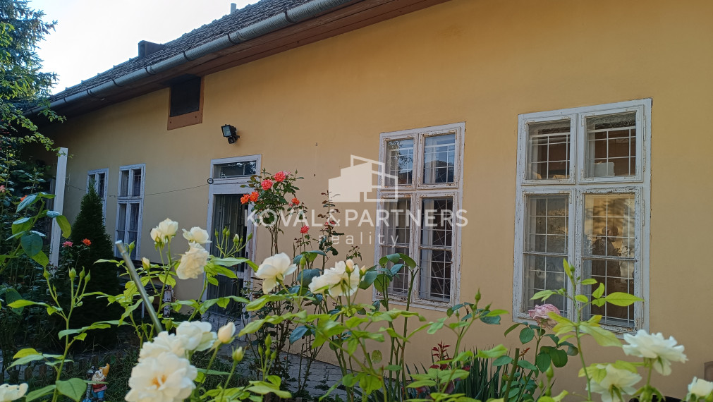 Dva domy so záhradou v centre - Levice