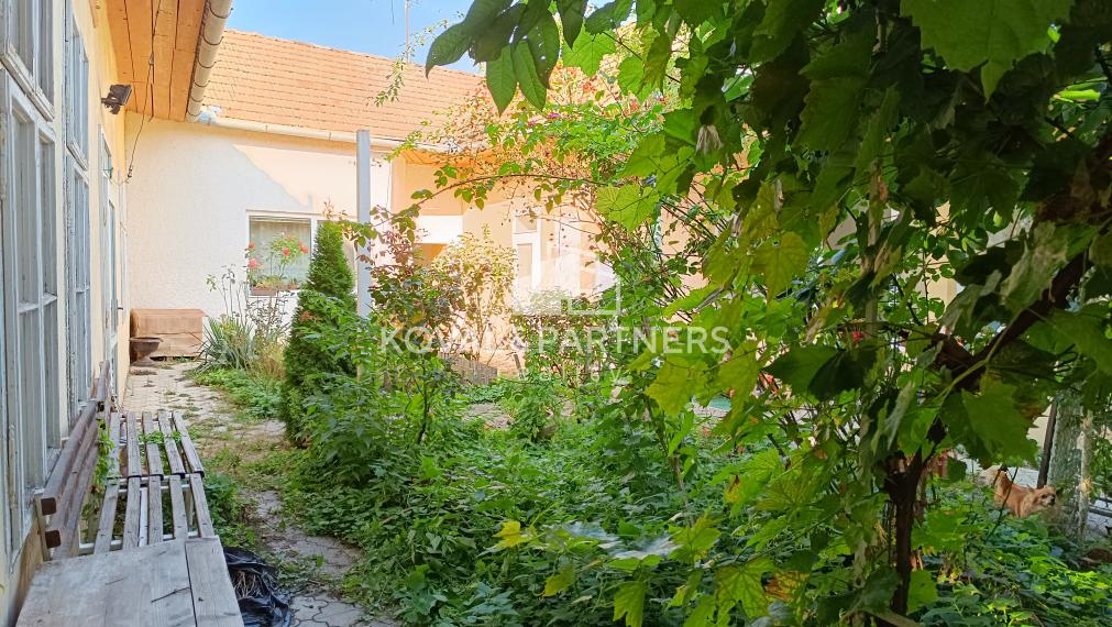 Dva domy so záhradou v centre - Levice