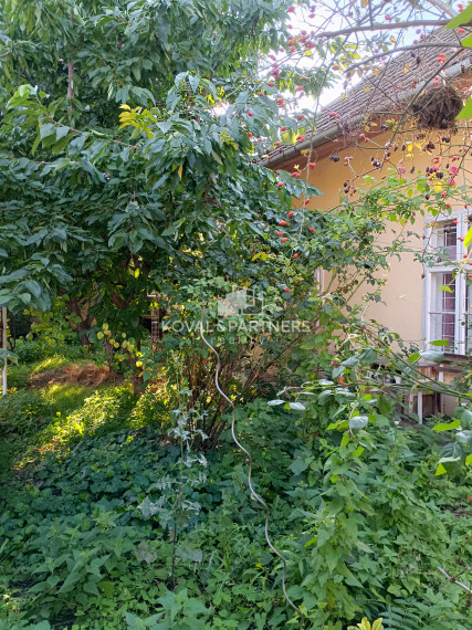 Dva domy so záhradou v centre - Levice