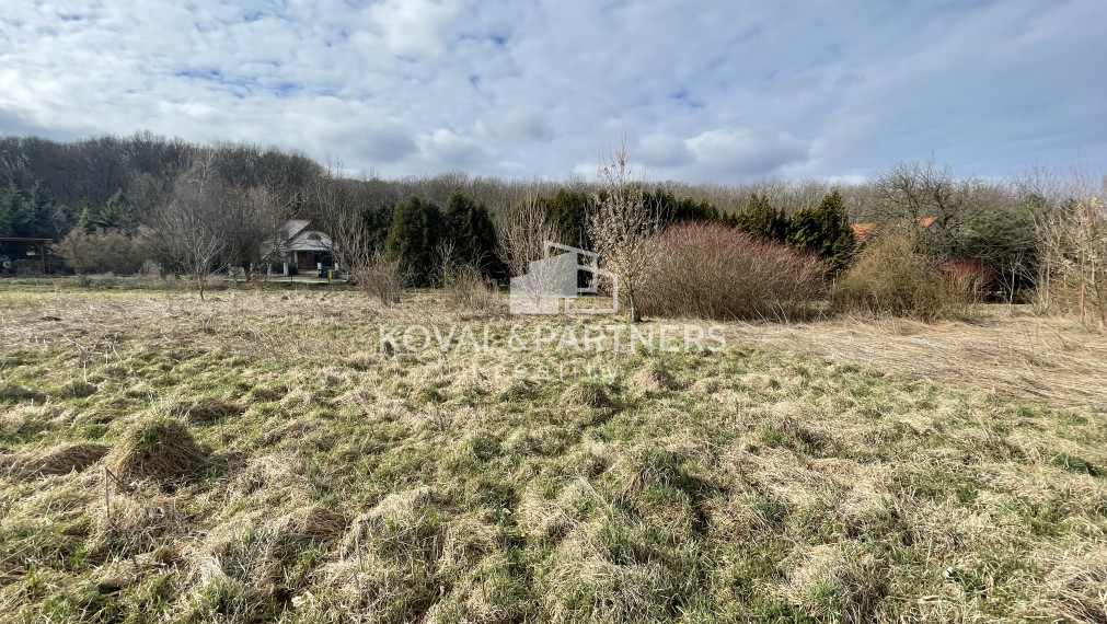 Investičný pozemok Kynek, Nitra