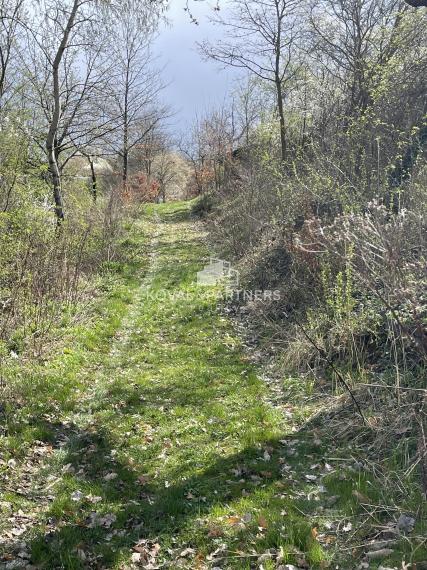 Pozemok vo vinohradníckej oblasti, Vieska nad Žitavou