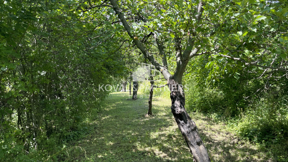 Záhrada s chatkou v Nitre, Dražovce