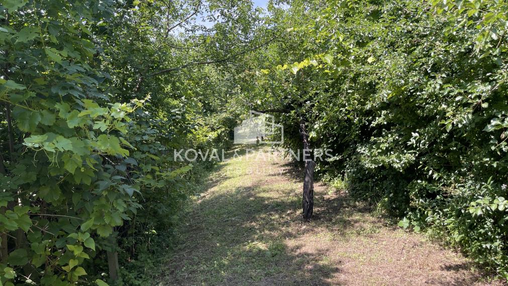 Záhrada s chatkou v Nitre, Dražovce