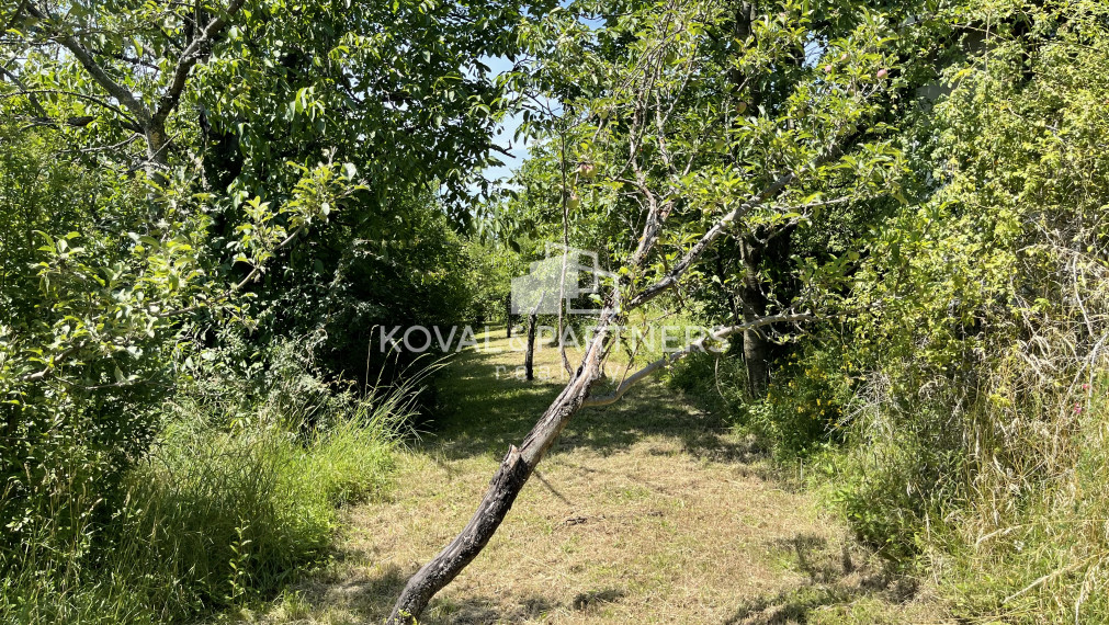 Záhrada s chatkou v Nitre, Dražovce