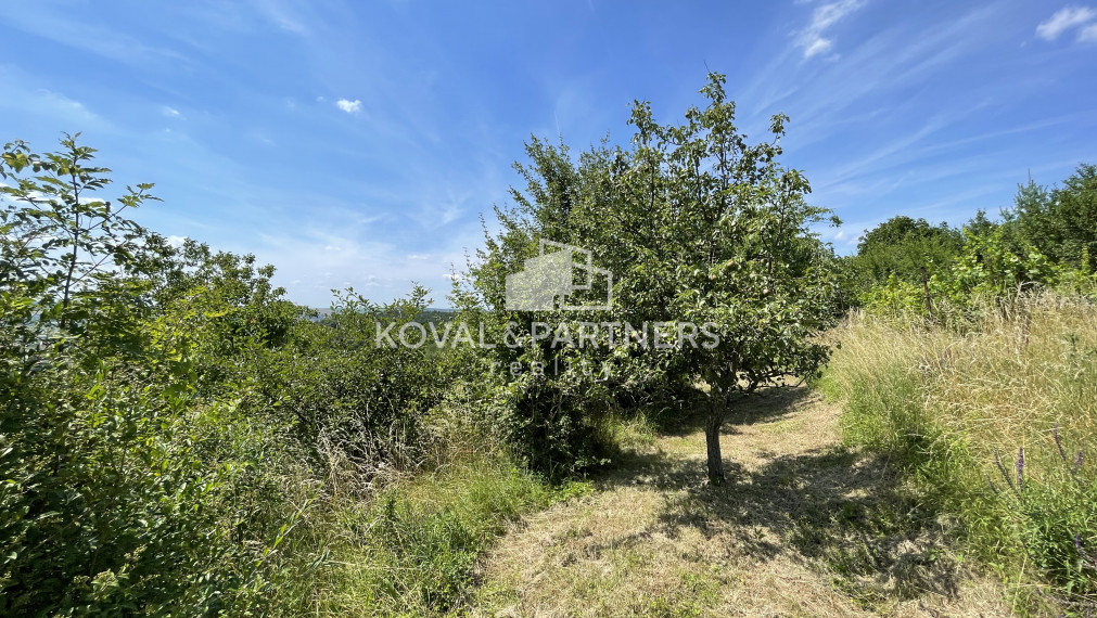 Záhrada s chatkou v Nitre, Dražovce