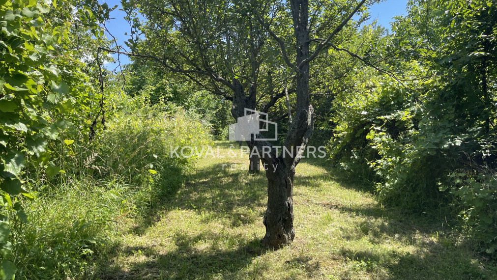 Záhrada s chatkou v Nitre, Dražovce