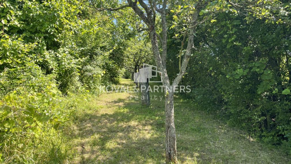 Záhrada s chatkou v Nitre, Dražovce