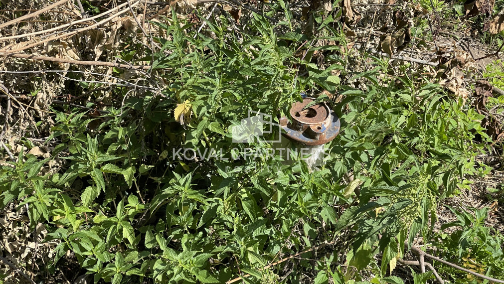 Rodinný dom s pozemkom 1720 m2