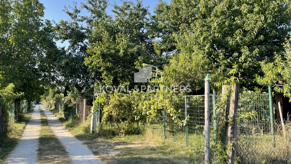 Záhrada v Nitre - v záhradkárskej oblasti