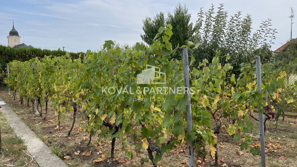 Rodinný dom v Nitrianskych Hrnčiarovciach