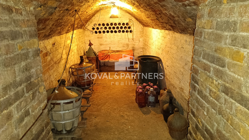 Rodinný dom s veľkým pozemkom - Veľký Kýr