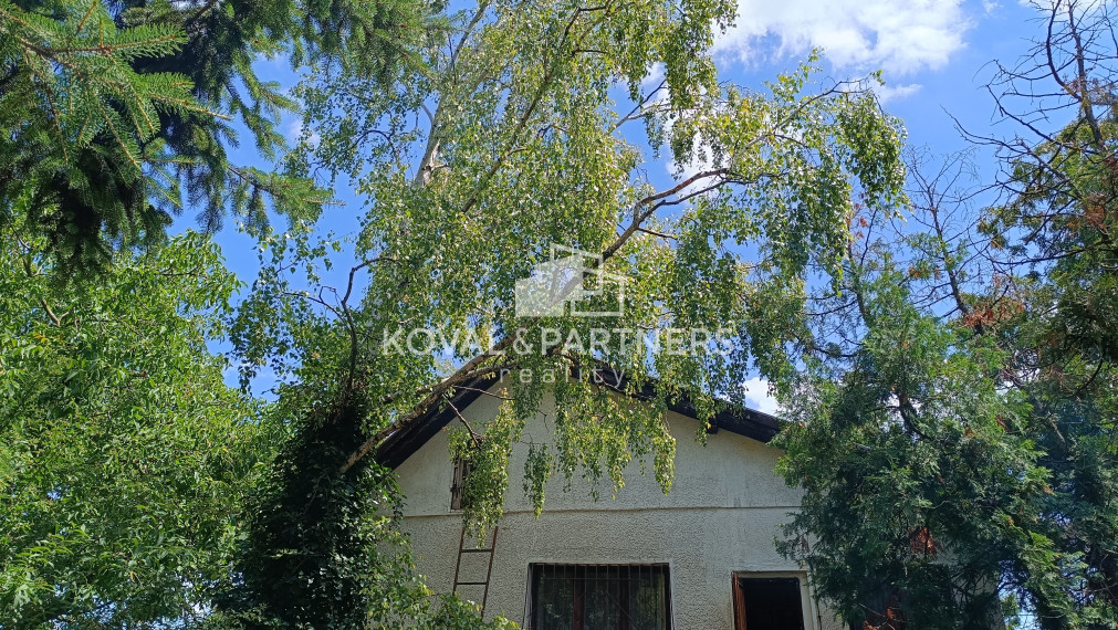 Rodinný dom s veľkým pozemkom - Veľký Kýr