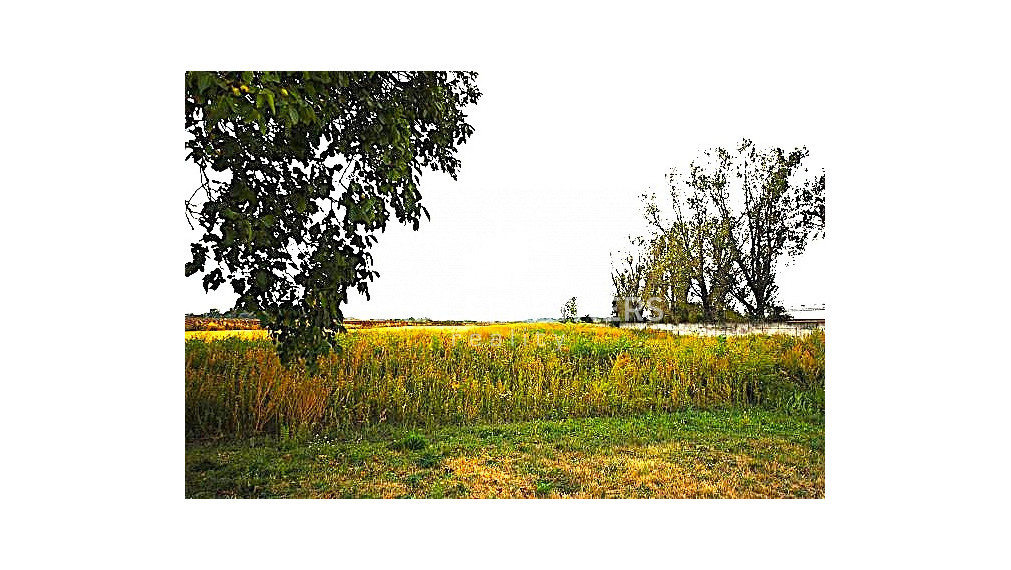Na predaj pozemok určený na priemyselno - potravinársku výrobu