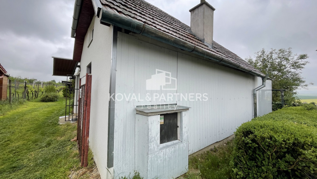 Chatka so záhradou a vinicou - Vráble v časti Horný Dúšnik