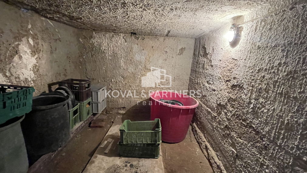 Chatka so záhradou a vinicou - Vráble v časti Horný Dúšnik