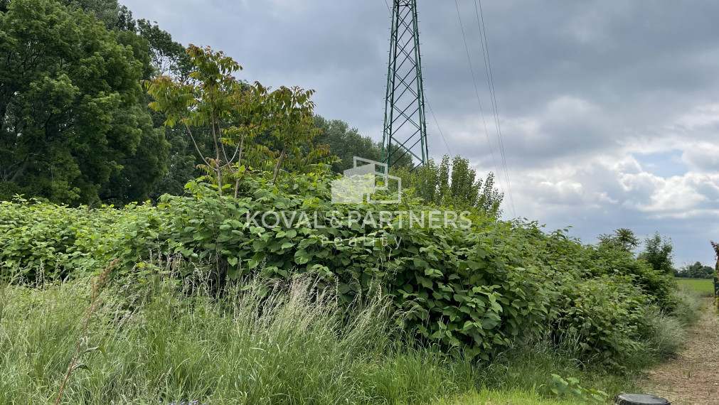 Pozemky v prekrásnej prírodnej časti obce Kajal