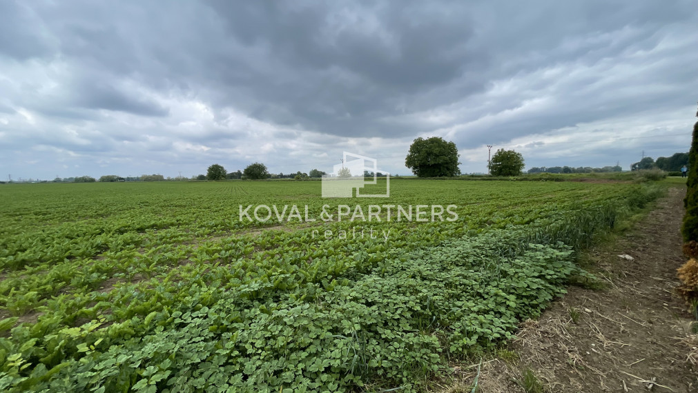 Pozemky v prekrásnej prírodnej časti obce Kajal