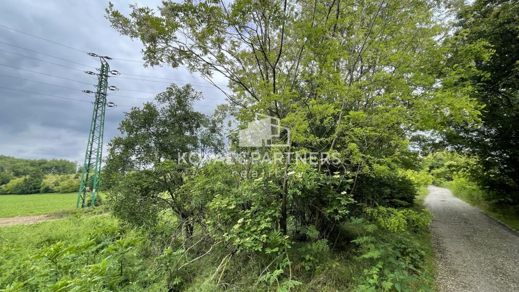 Pozemky v prekrásnej prírodnej časti obce Kajal