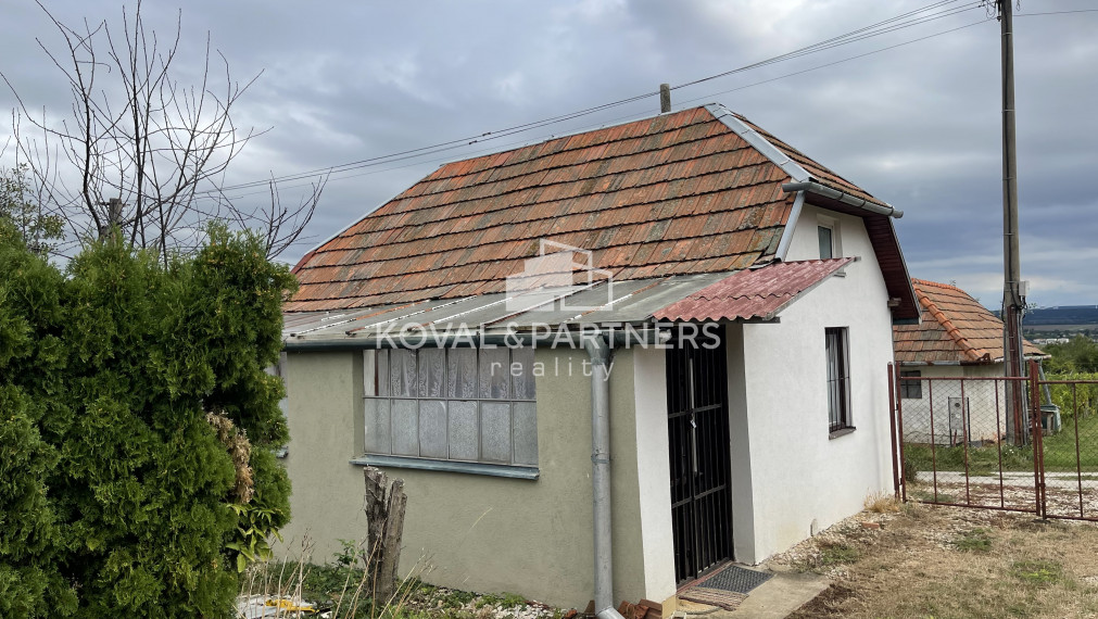 Chatka so záhradou a vinicou - Vráble v časti Horný Dúšnik