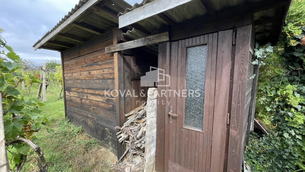 Chatka so záhradou a vinicou - Vráble v časti Horný Dúšnik
