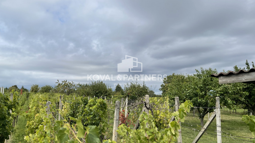 Chatka so záhradou a vinicou - Vráble v časti Horný Dúšnik