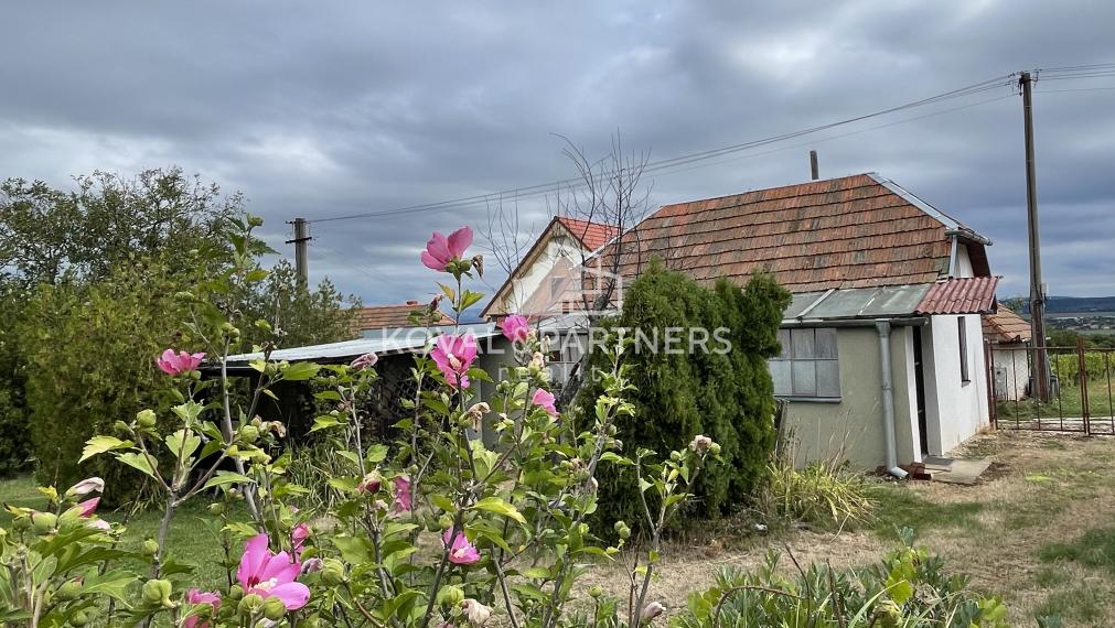 Chatka so záhradou a vinicou - Vráble v časti Horný Dúšnik