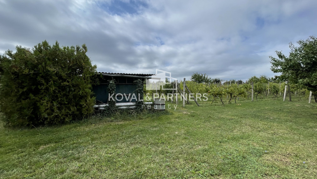 Chatka so záhradou a vinicou - Vráble v časti Horný Dúšnik