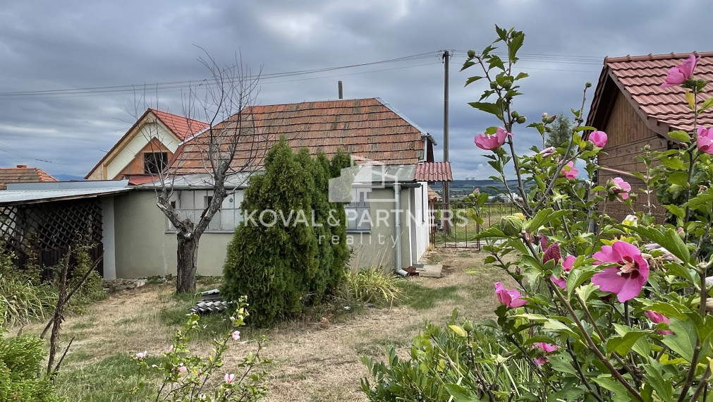 Chatka so záhradou a vinicou - Vráble v časti Horný Dúšnik
