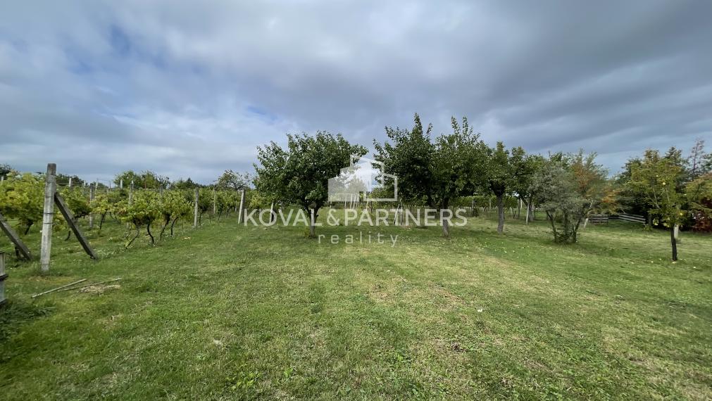 Chatka so záhradou a vinicou - Vráble v časti Horný Dúšnik