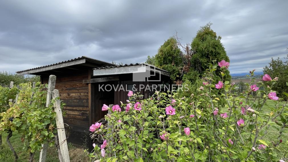 Chatka so záhradou a vinicou - Vráble v časti Horný Dúšnik