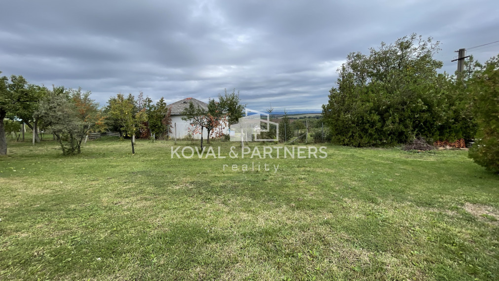 Chatka so záhradou a vinicou - Vráble v časti Horný Dúšnik