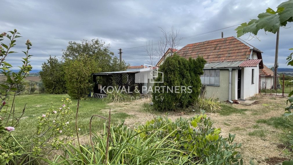 Chatka so záhradou a vinicou - Vráble v časti Horný Dúšnik