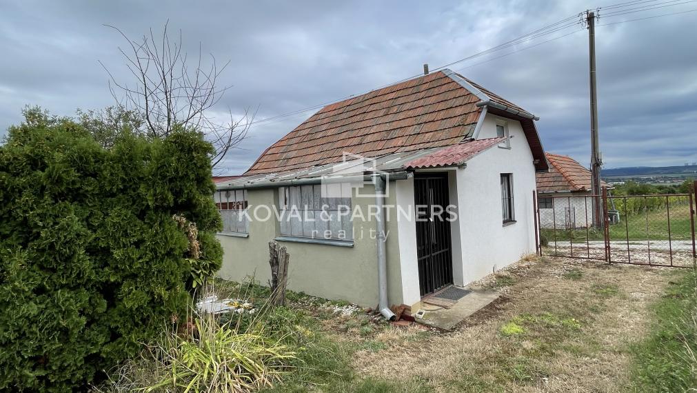 Chatka so záhradou a vinicou - Vráble v časti Horný Dúšnik