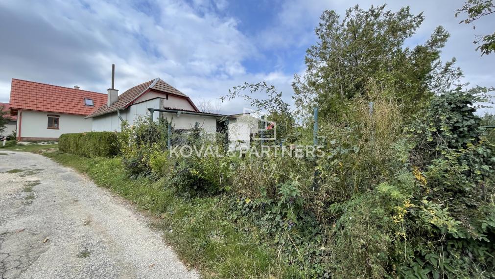 Chatka so záhradou a vinicou - Vráble v časti Horný Dúšnik