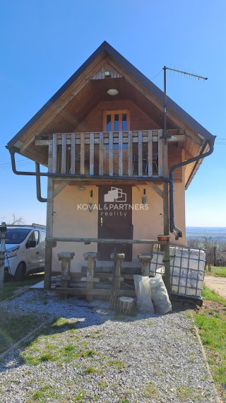 Vinica s viničnou chatkou v obci Jelenec, okres Nitra