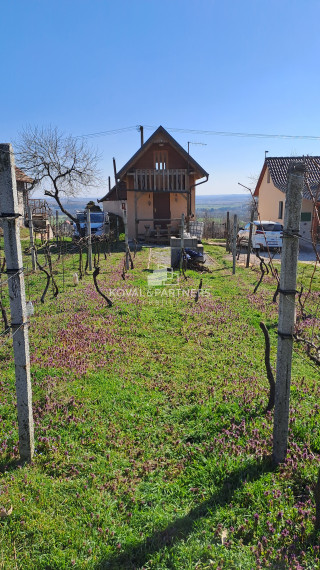 Vinica s viničnou chatkou v obci Jelenec, okres Nitra