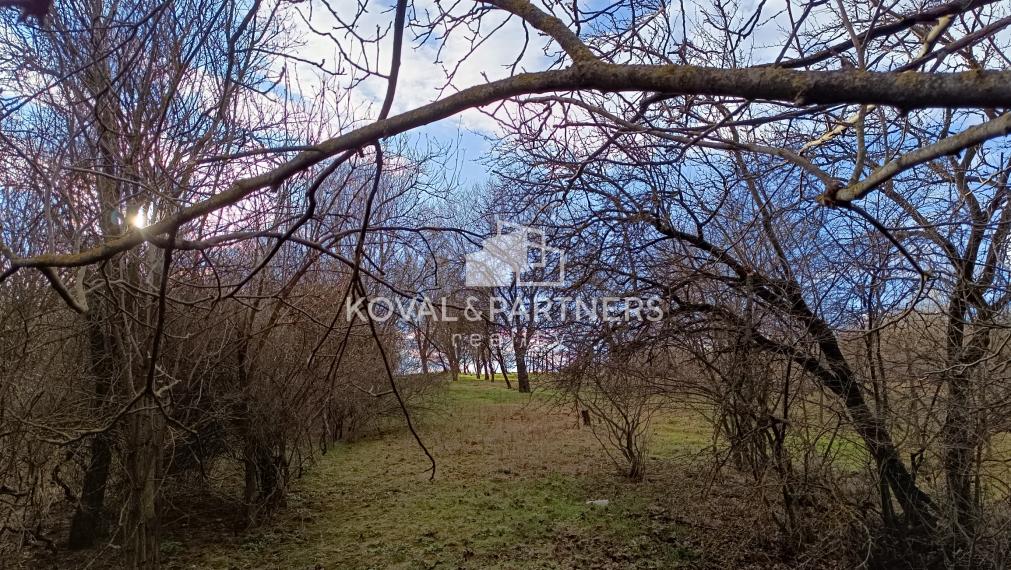 Rodinný dom s veľkým pozemkom - Veľký Kýr