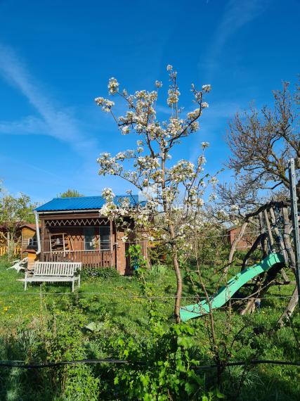 Predaj záhrady v Nitre