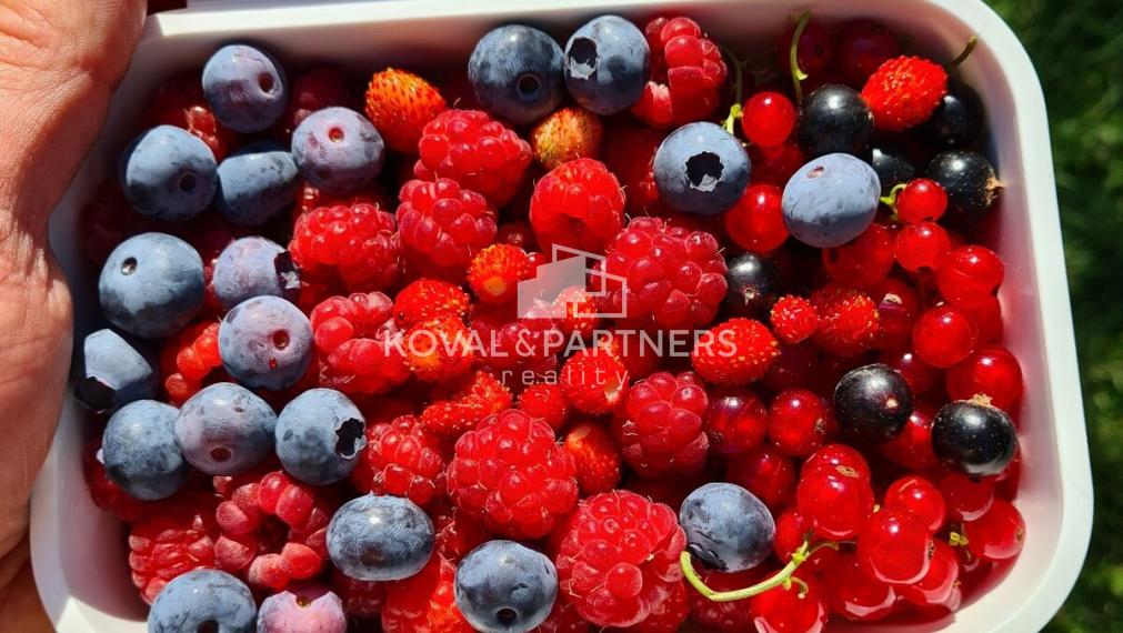 Predaj záhrady v Nitre