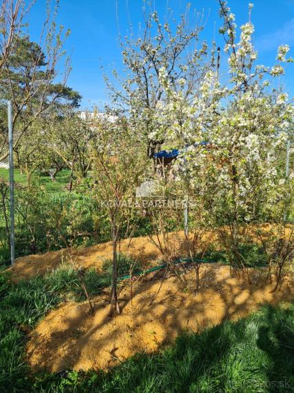 Predaj záhrady v Nitre