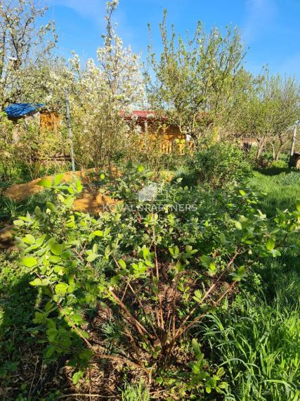 Predaj záhrady v Nitre