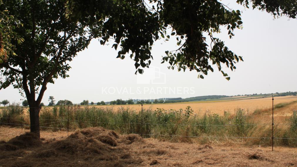 Rodinný dom  na 12 á pozemku- Levice - Arma Málaš
