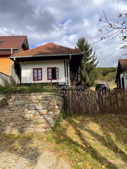 Chalupa v krásnom prostredí - Kostoľany pod Tribečom